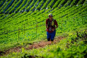 BIB: 
                            <button type="button" onclick="openModal(19162178)" class="btn btn-primary btn-sm float-right btn-popup" data-toggle="modal" data-target=".modal-high-quality">
                        <i class="fas fa-shopping-cart"></i> Add to Cart
                    </button>
                                            <button type="button" onclick="isThisMe(19162178, true)" class="btn btn-success btn-sm float-right btn-popup btn-isme hidden" data-toggle="tooltip" data-placement="bottom" title="นี่คือรูปของคุณใช่ไหม คลิกที่นี่เพื่อเอาเข้าอัลบั้ม">
                        <i class="fas fa-plus"></i> Add to album
                    </button>
                    <button type="button" onclick="isThisMe(19162178, false)" class="btn btn-warning btn-sm float-right btn-popup btn-isnotme hidden">
                        <i class="fas fa-ban"></i> Remove from album
                    </button>